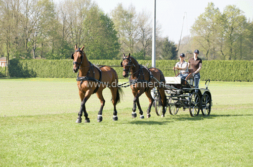 leidsel tandem leer ideal equestrian