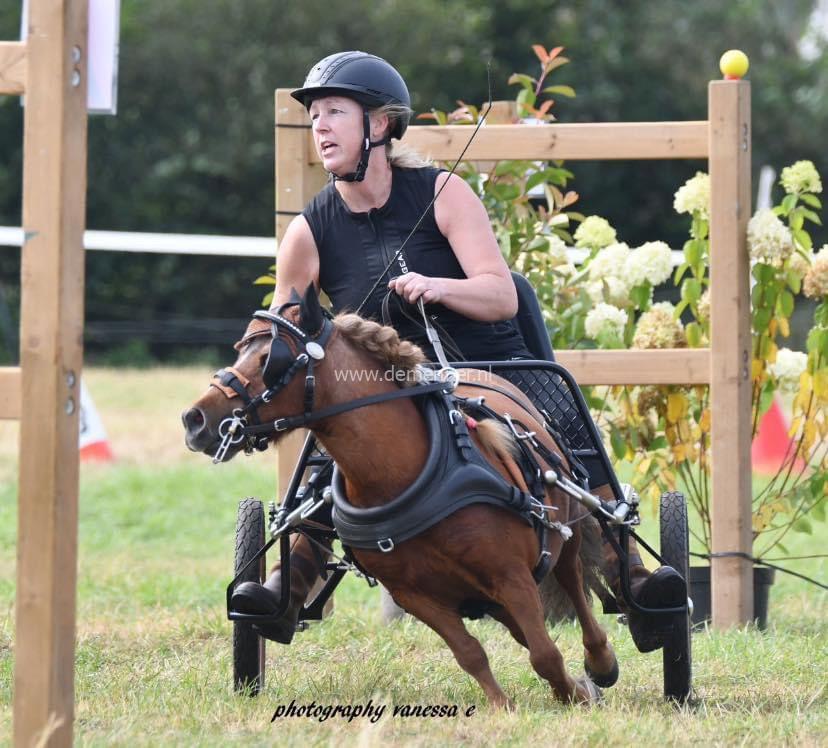 enkelspan frans gareel ideal equestrian