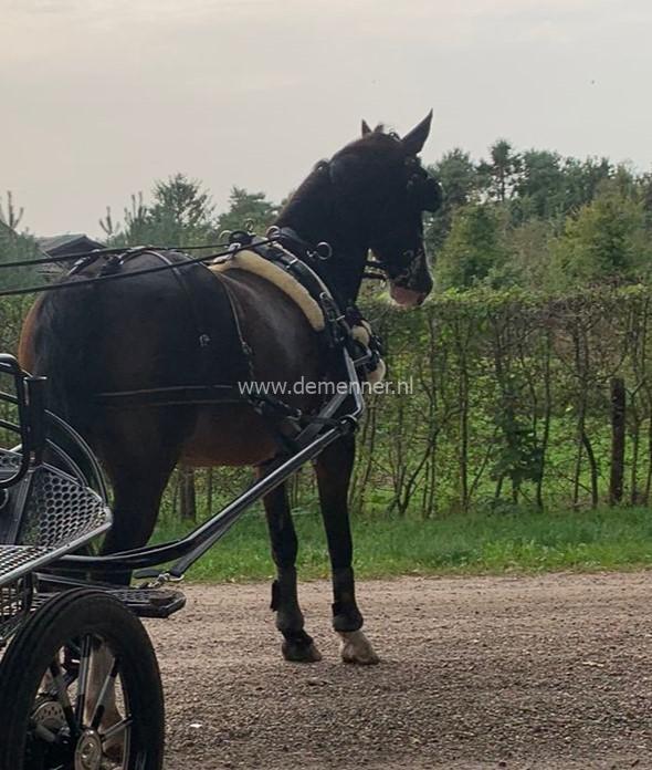 lamswollen extra zachte borst of schoftonderlegger