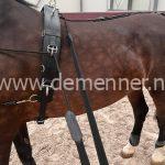 longeersingel ideal equestrian model "haanstra"