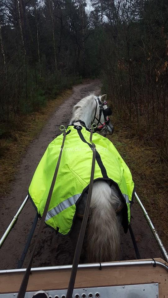 mennierdeken fluor, waterafstotend