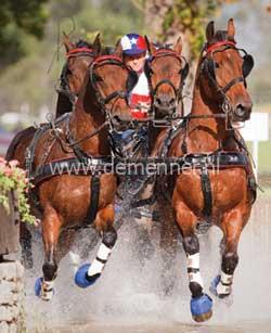 vierspan borsttuig zgb zilco