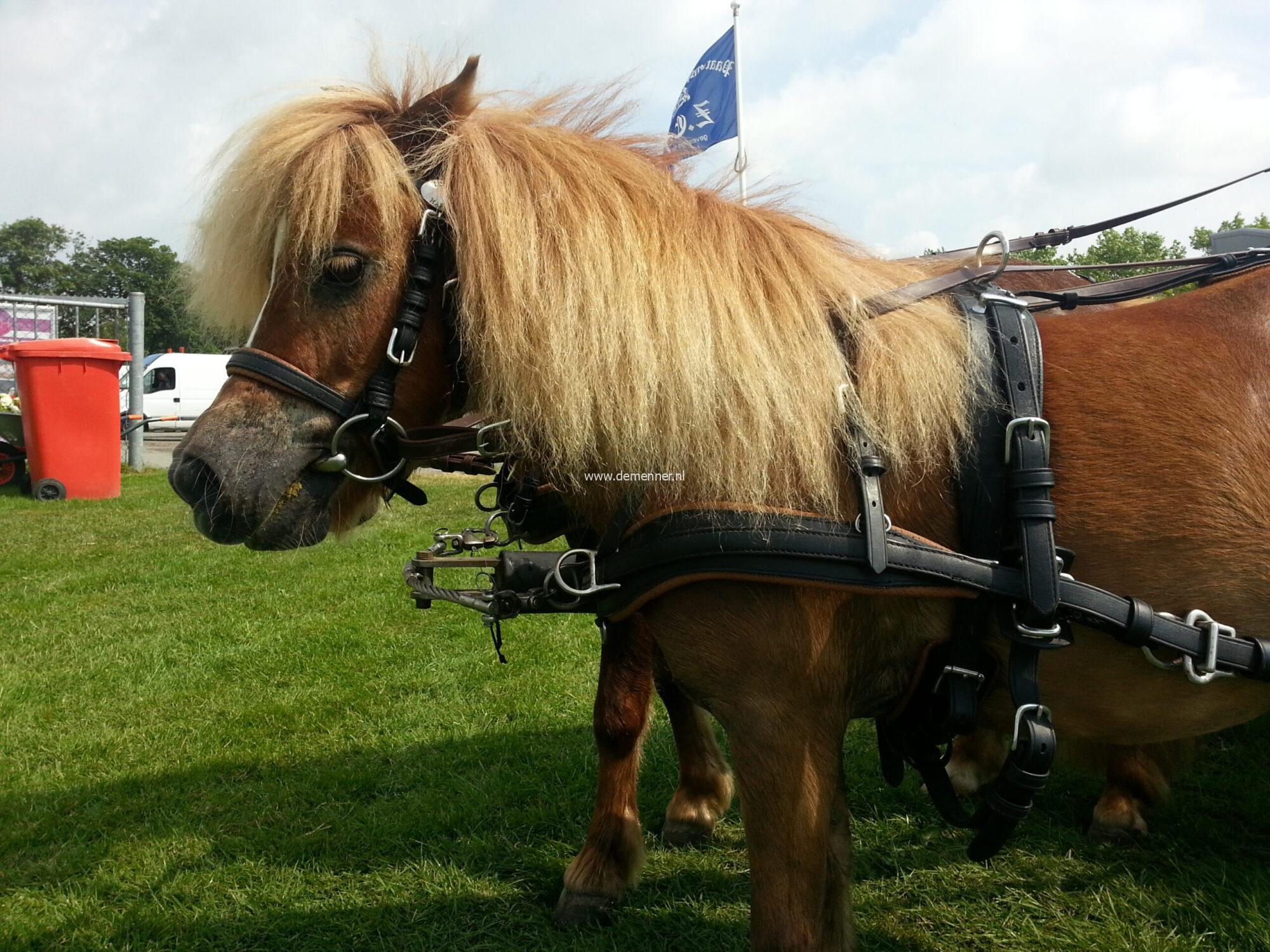 freestyle borst kunststof