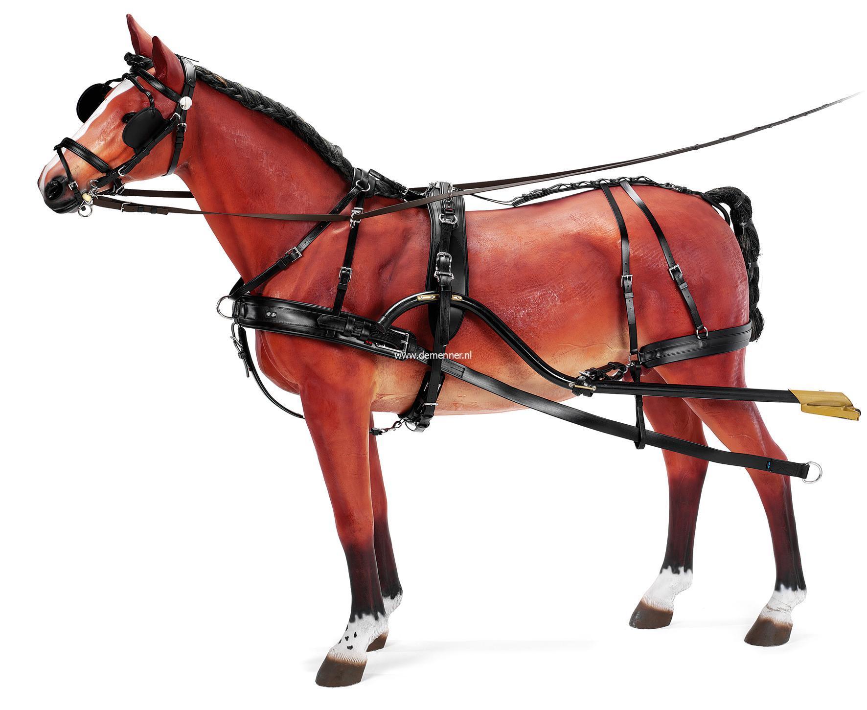 Enkelspan borsttuig ELITE Zilco - Afbeelding 2