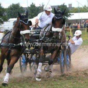 Tweespan borsttuig ELITE Zilco - Afbeelding 3