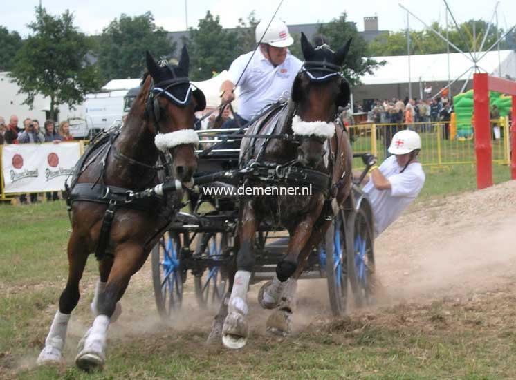 Tweespan borsttuig ELITE Zilco - Afbeelding 3