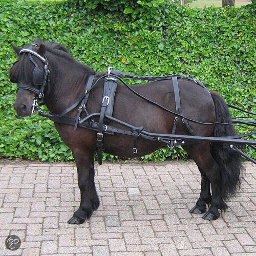 minishet borsttuig