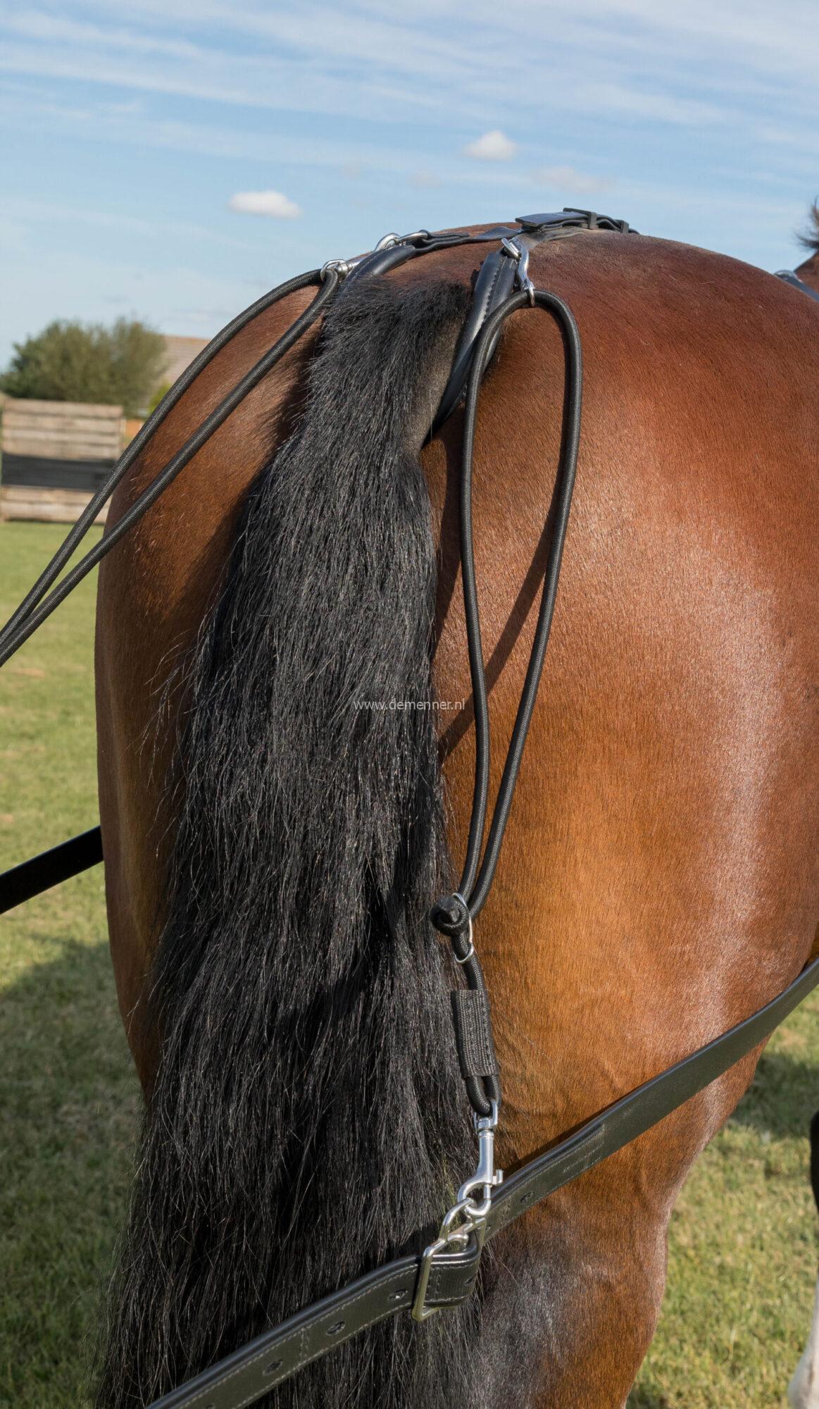 elastische strengendrager (tandem) voorpaard zilco