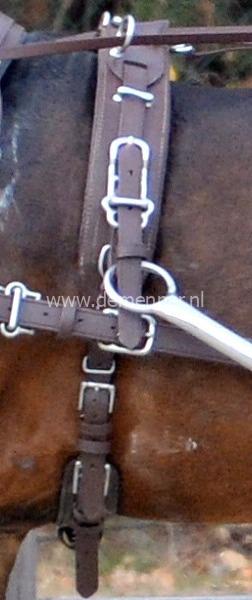 eurotech classic bruin