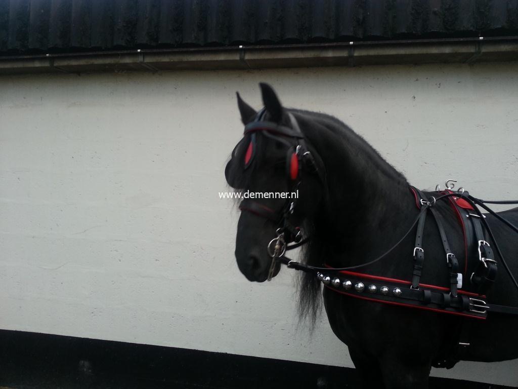 Bellentuig enkelspan-673