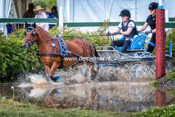 enkelspantuig luxe marathon australian nut