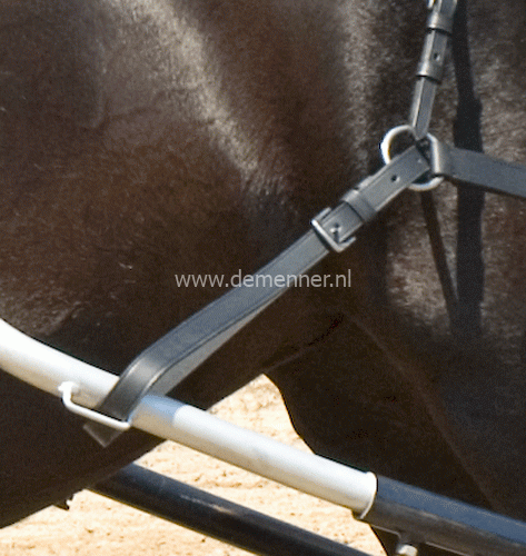Broekriem enkelspan Ideal Equestrian-Pony-Leathertech-0