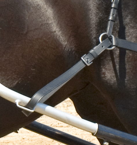 Broekriem enkelspan Ideal Equestrian-Pony-Luxe Marathon-0