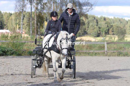 Enkelspantuig FRANS GAREEL Ideal Equestrian - Afbeelding 3