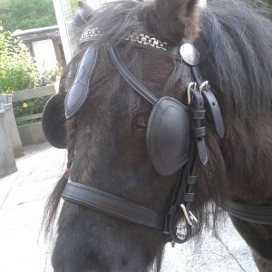 ronde oogkleppen