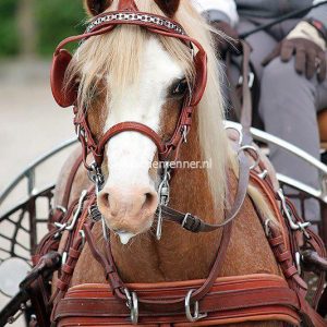 Hoofdstel LEATHERTECH Ideal Equestrian - Afbeelding 2