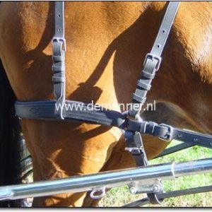 Broek enkelspan voor Leathertechtuig Ideal Equestrian - Afbeelding 2