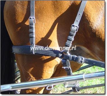 Broek enkelspan voor Leathertechtuig Ideal Equestrian - Afbeelding 2