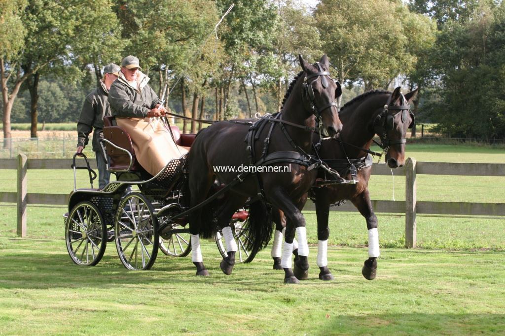 Borsttuig tweespan LEATHERTECH-607
