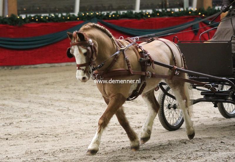 Borsttuig enkelspan LEATHERTECH-602