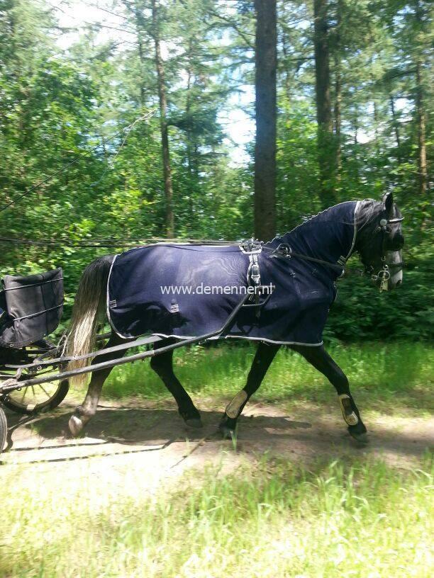 Menvliegendeken met hals - Afbeelding 5