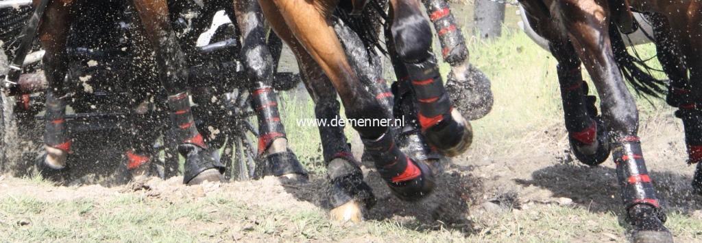 Mr Stockings peesbeschermers achterbeen-727