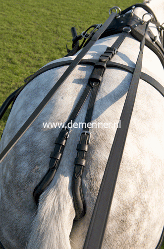 Staartriem met culeron, leer - Afbeelding 3