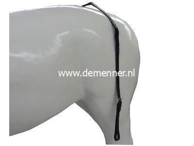 Strengendrager Ideal Equestrian, lang, leer/elastisch_Cob-0