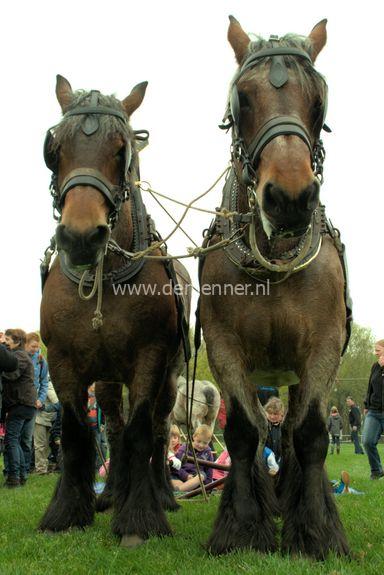Touwleidsel voor boomslepen