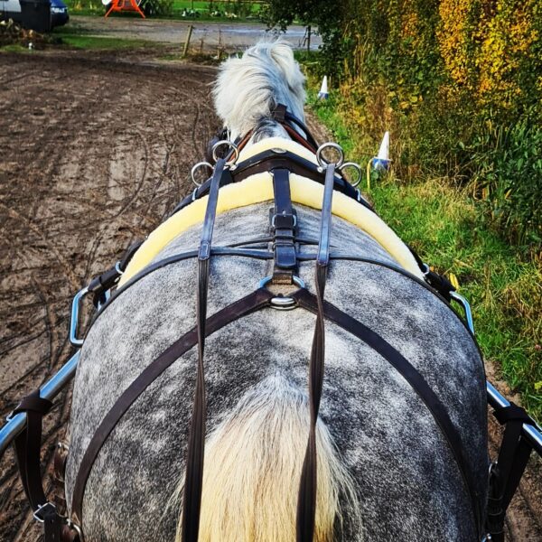 Staartriem voor trekpaard - Afbeelding 2