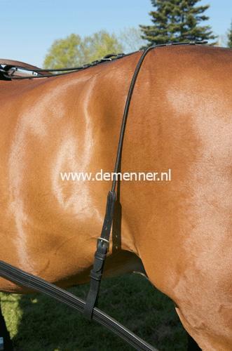 Strengendrager Ideal Equestrian, lang, leer/elastisch_Cob-4306
