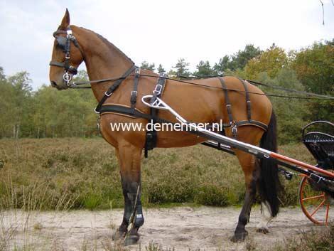 Borsttuig enkelspan WEBTECH-670