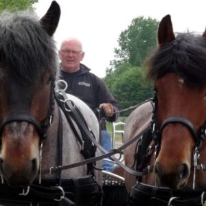 webtech tweespan borsttuig