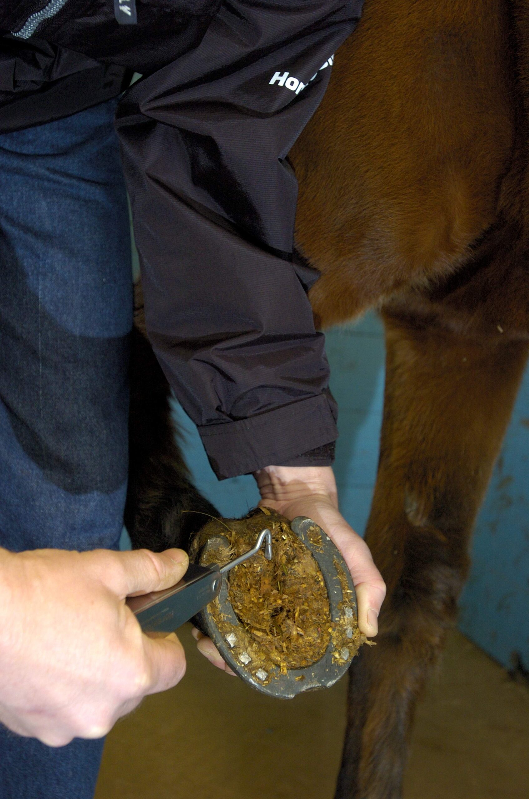 Multifunctioneel koetsiersmes - Afbeelding 3