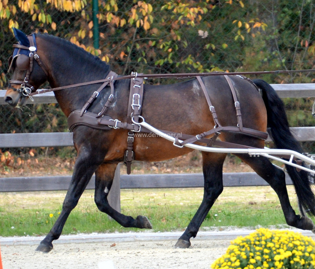 borsttuig enkelspan eurotech classic ideal equestrian