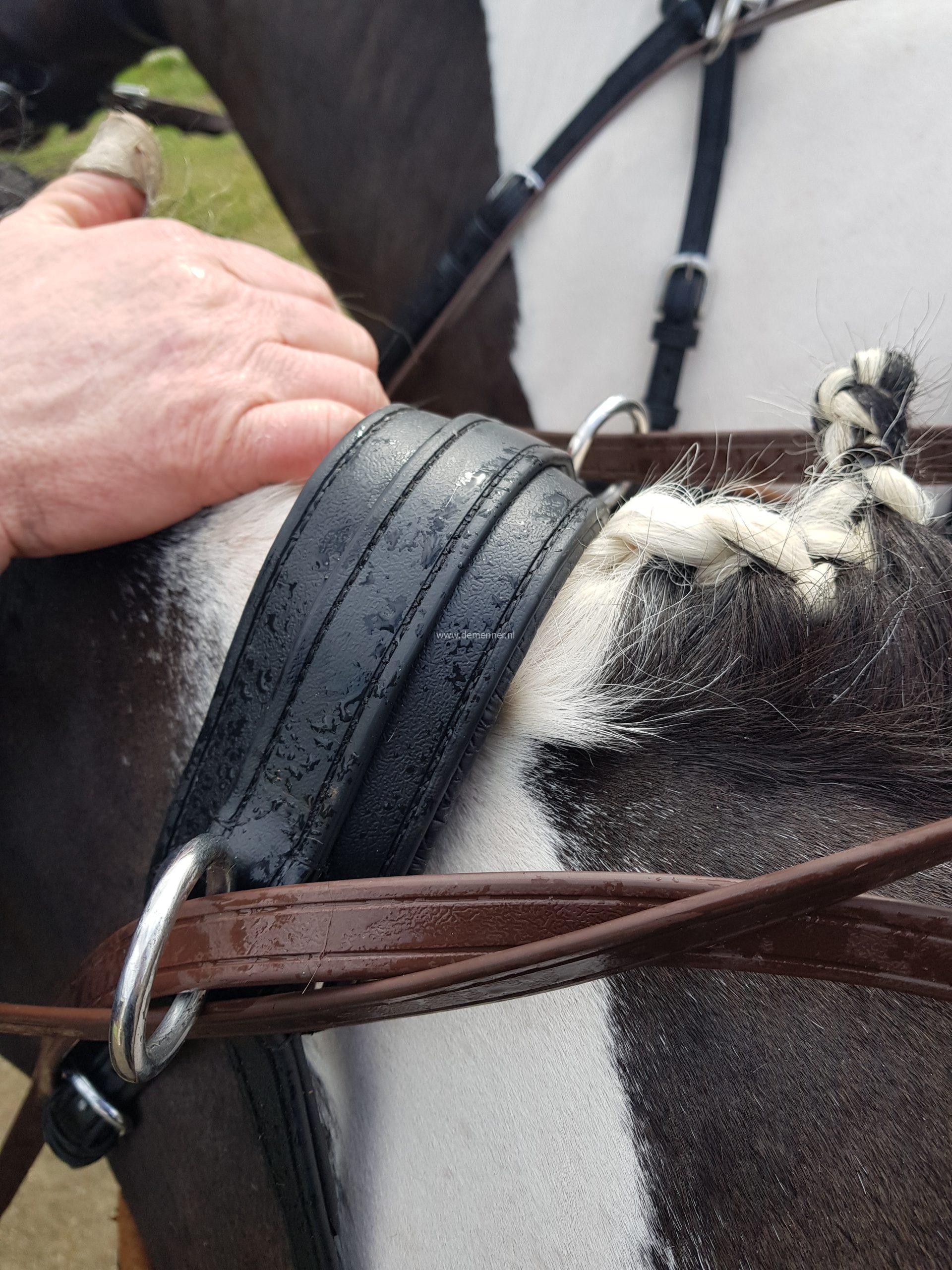 anatomische nekriem eurotech ideal equestrian