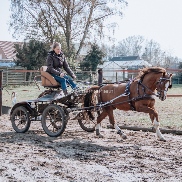 enkelspan borsttuig eurotech classic ideal equestrian