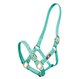 menhalster kunststof met gesp op neus 25 mm zilco