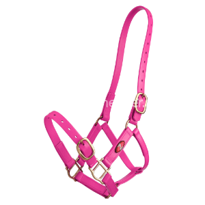 menhalster kunststof met gesp op neus 25 mm zilco