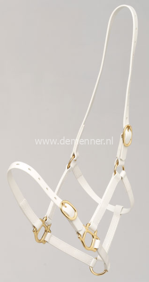 menhalster kunststof met gesp op neus 19mm zilco