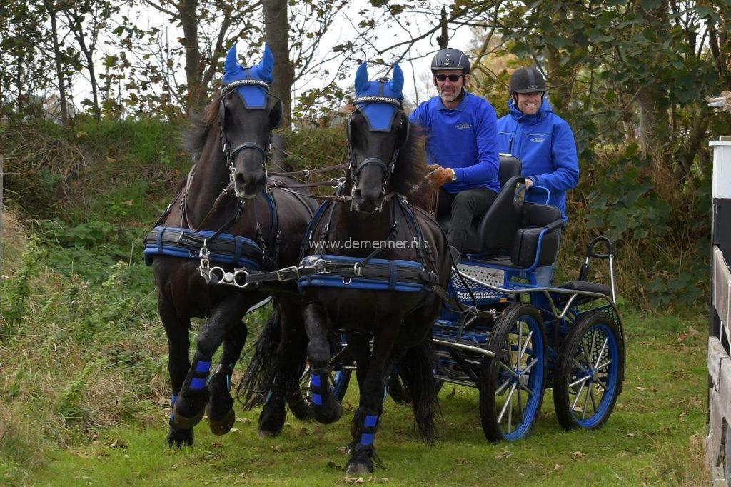 tweespan borsttuig eurotech classic ideal equestrian